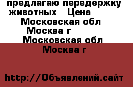 предлагаю передержку животных › Цена ­ 350 - Московская обл., Москва г.  »    . Московская обл.,Москва г.